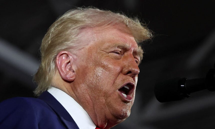 'THEY WANT TO CHEAT!!!': Trump Explodes in Bizarre All-Caps Attack on 'SCOUNDRELS & PSYCHOPATHS' Dems