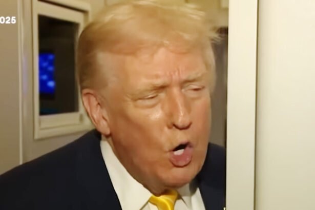 Trump Hurls Insult at Reporter When Questioned About Release of Epstein Files