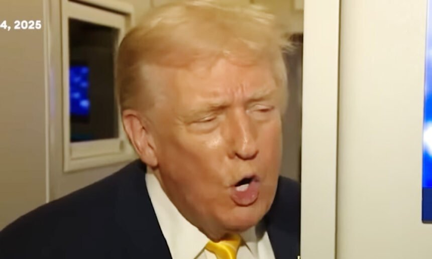 Trump Hurls Insult at Reporter When Questioned About Release of Epstein Files