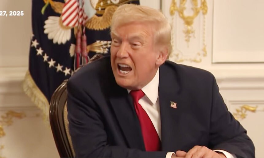 'You're a Stupid Person!': Trump Melts Down Over Afghan Vetting Question