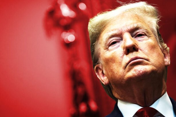 Senator Warns U.S. Is ‘In the Middle of a Totalitarian Takeover’ After Trump’s Stunning Claim