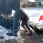 'She Can't Breathe': Anger Erupts as ICE Agents Pin Pregnant Woman Face Down on The Snow, Then Drag Her