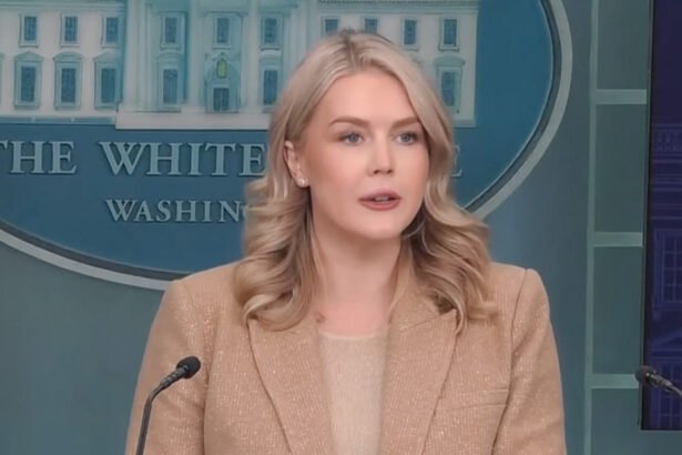 Trump White House Throws Hegseth Under the Bus, Admits He Ordered Second Strike That Killed Boat Survivors