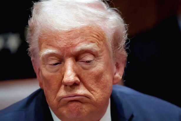 Another Trump Loyalist Quits as Courts Close In on His Questionable Appointments