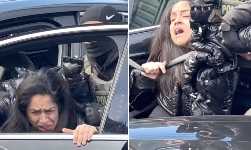 Outrage Erupts Over Viral Video of ICE Agents Dragging Disabled Woman From Car