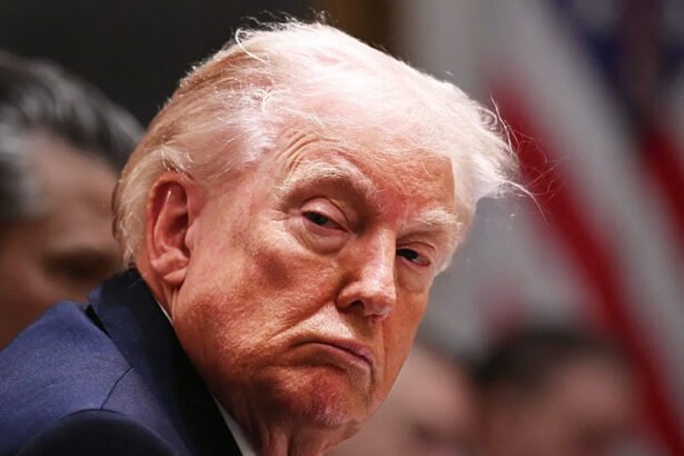 A Hidden FBI File in the Epstein Dump Contains an Alarming Allegation About Trump