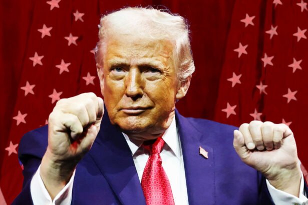 Trump Just Gave Himself a New Title — Because Normal Presidential Ego Was Just Too Small