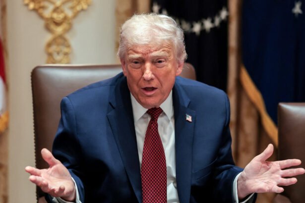 Video Evidence Corners Trump on ICE Killing, Doubles Down on Lies Anyway