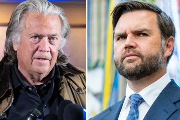 Bannon Quietly Gearing Up to Kneecap Vance in 2028: Report