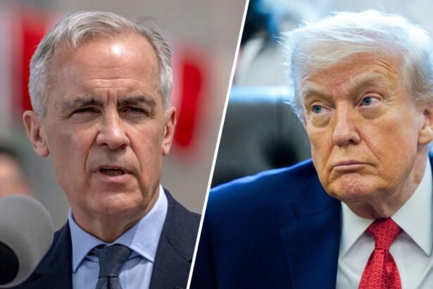 Mark Carney Smacks Down Trump After Latest Canada Insult: ‘We Thrive Because We’re Canadian’