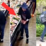Beef Bandit on the Loose: Florida Man’s Steak Heist Goes Viral — Manhunt Underway