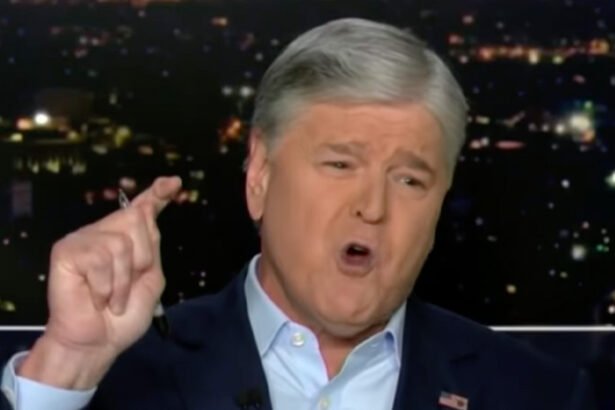 'Hang Out With Pedophiles': Sean Hannity Flustered as Activist Humiliates Him on Live Fox ICE Segment