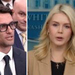 Leavitt’s Excuse for Trump Saying ‘Cancel Midterms’ Is Even Worse Than the Remark Itself