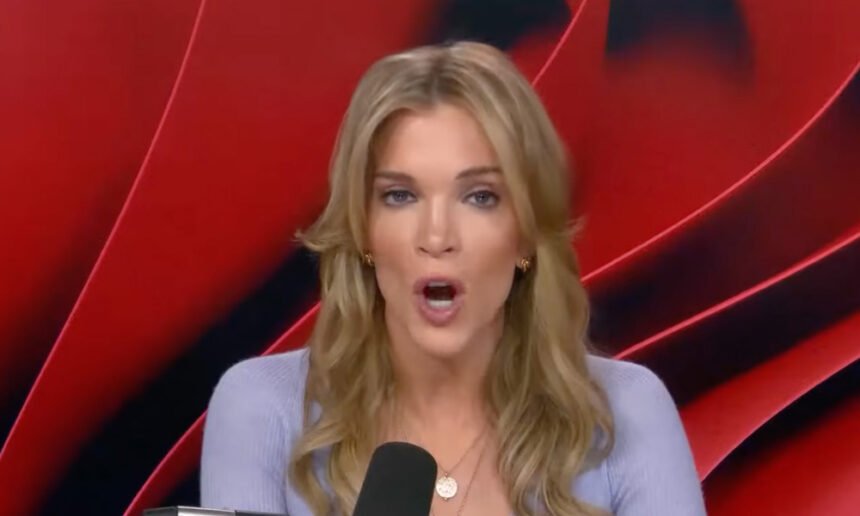‘Evil’ Trending Online After Megyn Kelly's Callous Take on Alex Pretti Killing