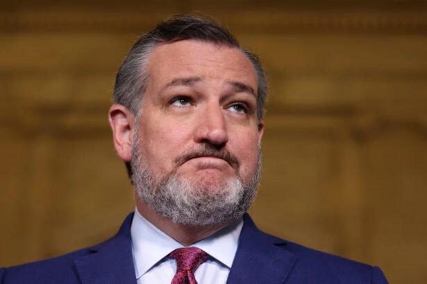 The Clip Ted Cruz Wishes You’d Forget Is Going Viral Amid Trump’s Greenland Threats