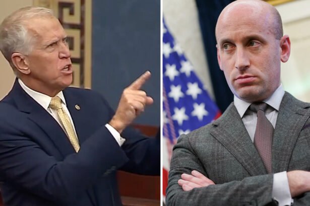 'You Know What Makes me Cranky? Stupid': GOP Senator Goes Scorched-Earth on Stephen Miller’s Maniac Greenland Talk
