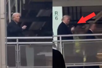 Watch: Trump Yells 'F*ck You' and Gives the Finger to Ford Employee Who Called Him 'Pedophile' During Factory Tour