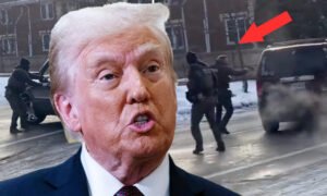 Trump Issues Disgusting Response After Woman Was Shot and Killed by ICE Agent