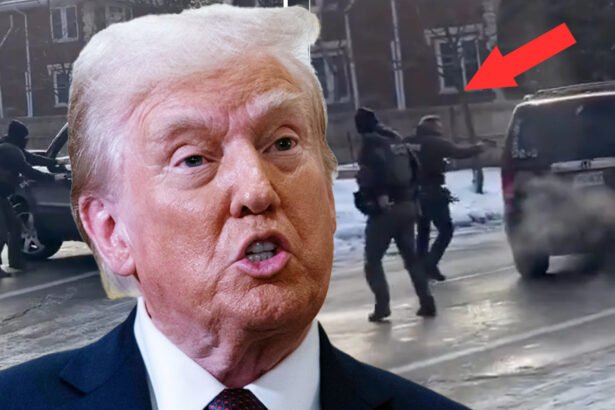 Trump Issues Disgusting Response After Woman Was Shot and Killed by ICE Agent