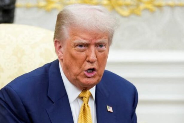 Trump Dangles U.S. Bombing Campaign in Nigeria, Citing Christian Persecution