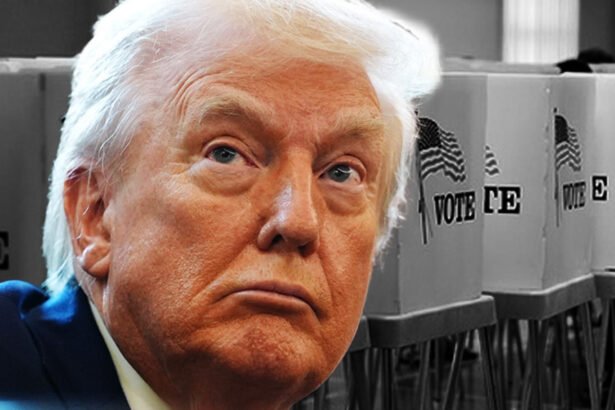 Trump Plot to Hijack Midterms Vote Count Exposed — Democrats Mobilize to Stop Election Sabotage