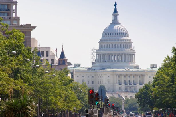Person With Gun Arrested Near U.S. Capitol: Police