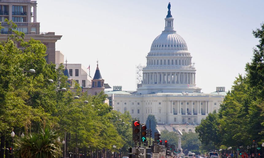 Person With Gun Arrested Near U.S. Capitol: Police