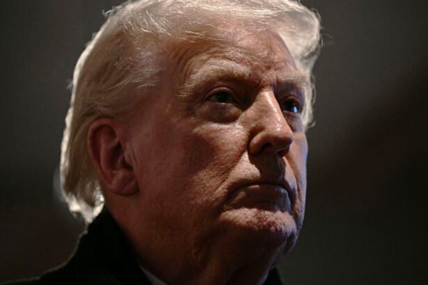 Democrat Who Reviewed Unredacted Epstein Files Levels Explosive Claims About Trump