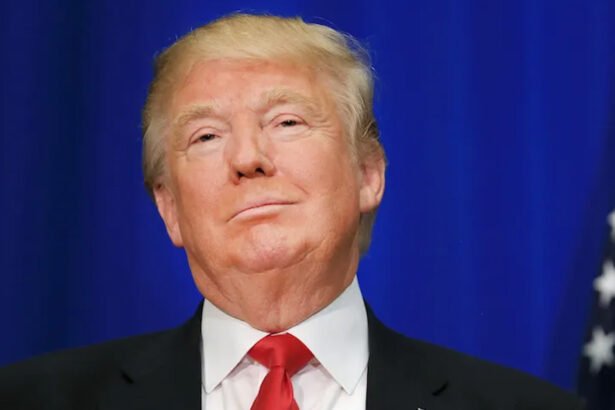 White House Blames Anonymous Staffer for Trump's Racist Obama Video