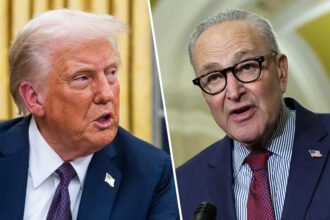 Trump Held Rail Tunnel Money Hostage, Demanding Penn Station and Dulles Be Named After Him — Schumer Said No