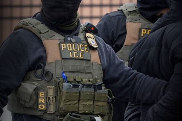 Dozens of ICE Agents Arrested Amid Surge in Sexual Abuse, Domestic Violence and Corruption: Report