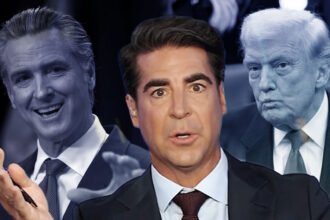 Fox News Attempt to Roast Gavin Newsom Boomerangs Right Back at Trump