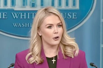 White House Defends Racist Obamas 'Apes' Post, Saying It Illustrates Trump as 'King of the Jungle'