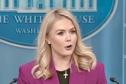 White House Defends Racist Obamas 'Apes' Post, Saying It Illustrates Trump as 'King of the Jungle'