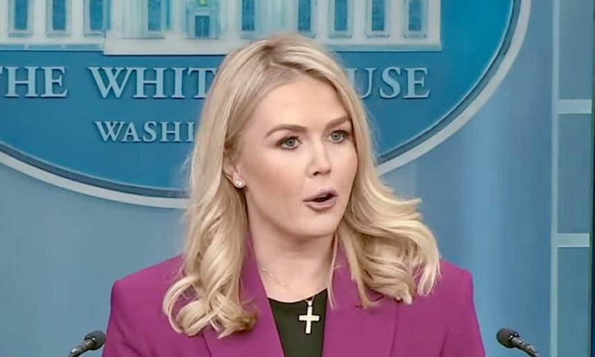 White House Defends Racist Obamas 'Apes' Post, Saying It Illustrates Trump as 'King of the Jungle'