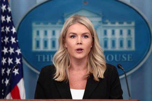 White House Erupts In Profane Tirade After Democrat Torches Trump in SOTU Rebuttal