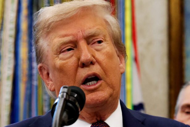 Trump Calls on Republicans to ‘Take Over’ Voting in 'At Least' 15 States