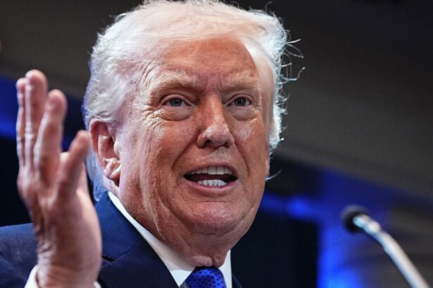 Facing Brutal Polls, Trump Insists They’re ‘Fake’ and Offers Bonkers Evidence