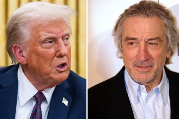 Trump Threatens Robert DeNiro, Mulls Deportation For Ilhan Omar and Rashida Tlaib in Frantic Post