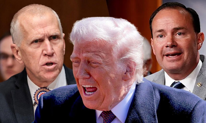 GOP Meltdown: Trump’s Midterm Demand Sparks Full-Blown Republican Freakout on Capitol Hill