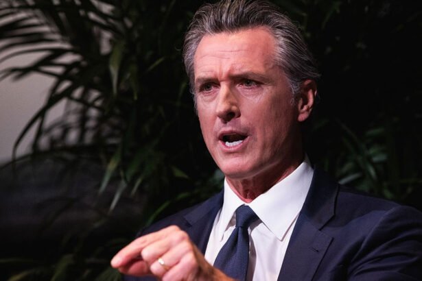'You Don’t Get to Rewrite Reality': Gavin Newsom Blasts Trump Allies Over WHCD Blame Claim