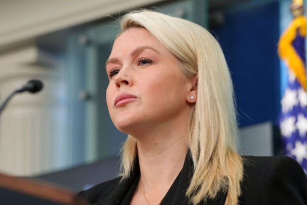 'Stone-Cold Liar': Karoline Leavitt Slammed After Blaming Democrats for WHCD Shooting