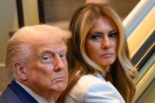 ‘She Hates Her Husband’: Insider Suggests Melania’s Epstein Speech Was Plot to Get Trump