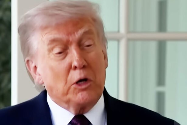 MAGA Floats ‘25th Amendment’ After Trump’s Bizarre ‘Doctor’ Excuse Backfires