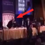 Trump Rushed Out of White House Correspondents Dinner After Gunfire Erupts, Chaos Engulfs Ballroom