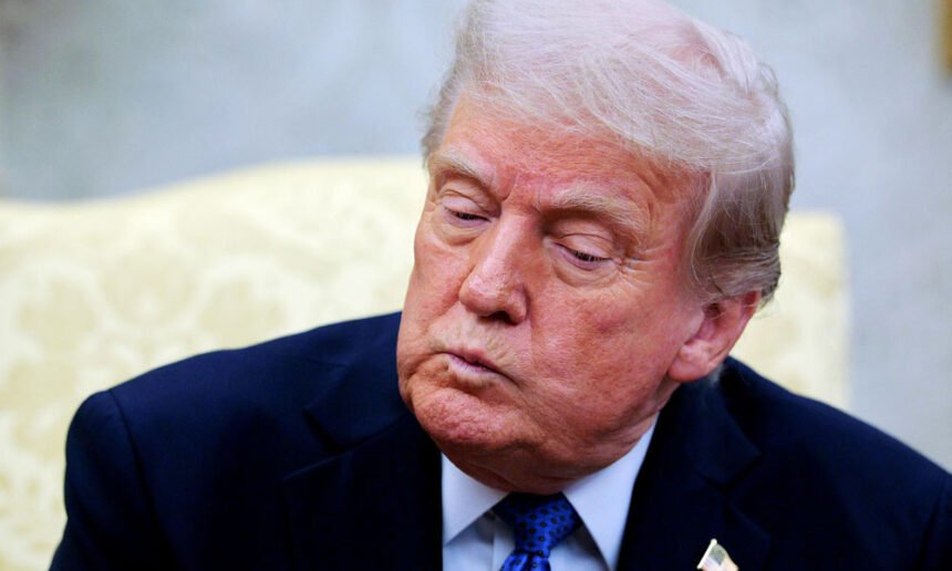 Judges Humiliate Trump Over ‘Lawless’ ICE Detention Scheme, Call Policy an ‘Assault on the Constitutional Order’