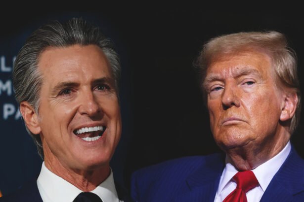 'There isn't a bigger sore loser in the country': Newsom torches Trump after election conspiracy meltdown