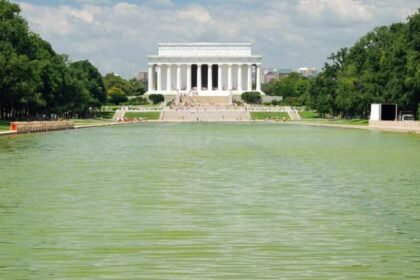 Trump’s $14 million reflecting pool turns green. The White House blames Obama