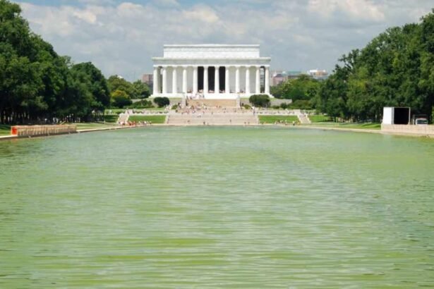 Trump’s $14 million reflecting pool turns green. The White House blames Obama