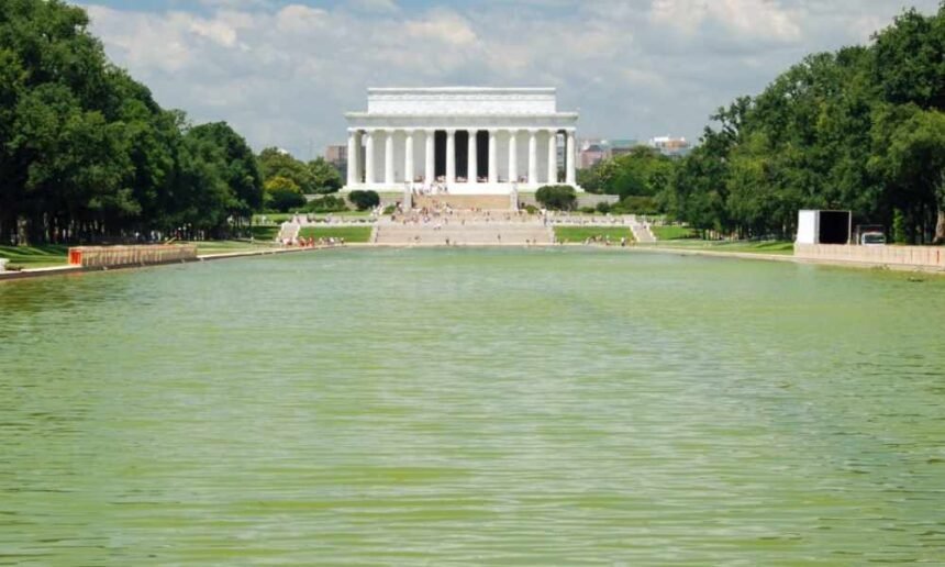 Trump’s $14 million reflecting pool turns green. The White House blames Obama